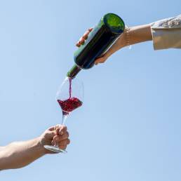 Comprar vino sin etiqueta de La Rioja