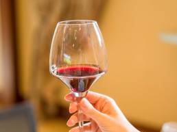 Las diferencias en el color del vino: rojo, blanco y rosado