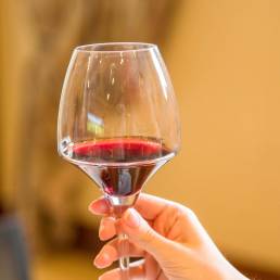 Las diferencias en el color del vino: rojo, blanco y rosado